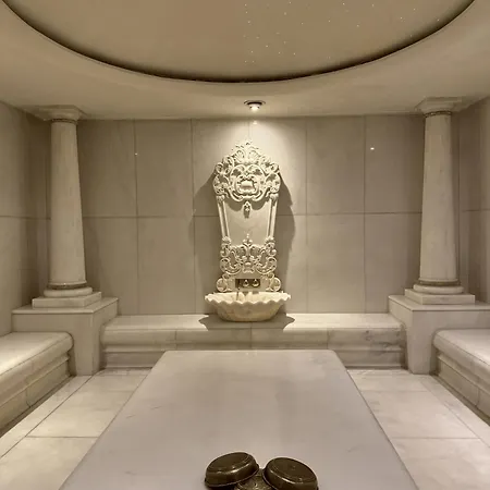 伊斯坦布尔cvk塔克西姆酒店 伊斯坦布尔