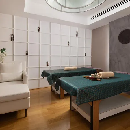 伊斯坦布尔cvk塔克西姆酒店 酒店